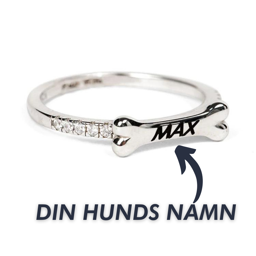 Hundben Ring